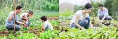 紅山木屋面向全國推出“新農(nóng)宅計劃”