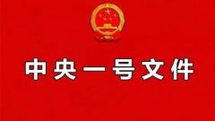 積極響應(yīng)中央一號文件——紅山木屋“新農(nóng)宅計劃”全面實施！