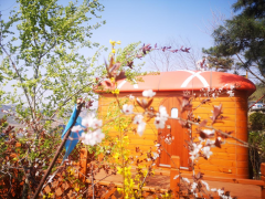 廣交會(huì)丨春暖花開(kāi)季，木屋踏青來(lái)